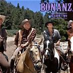 bonanza 39